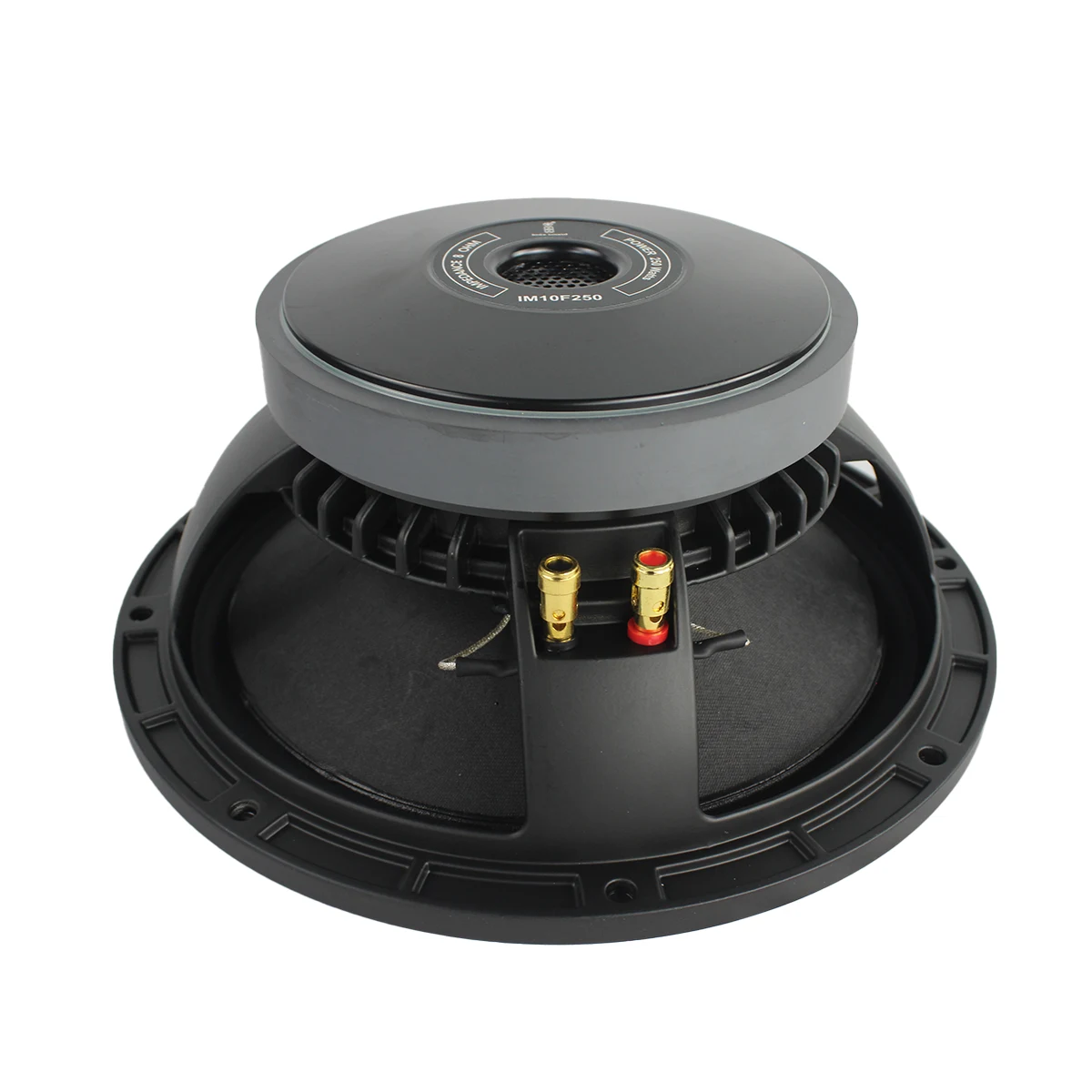 Imix IM10F250 10" 250W Loose Speaker